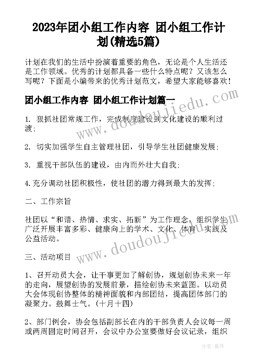 2023年团小组工作内容 团小组工作计划(精选5篇)