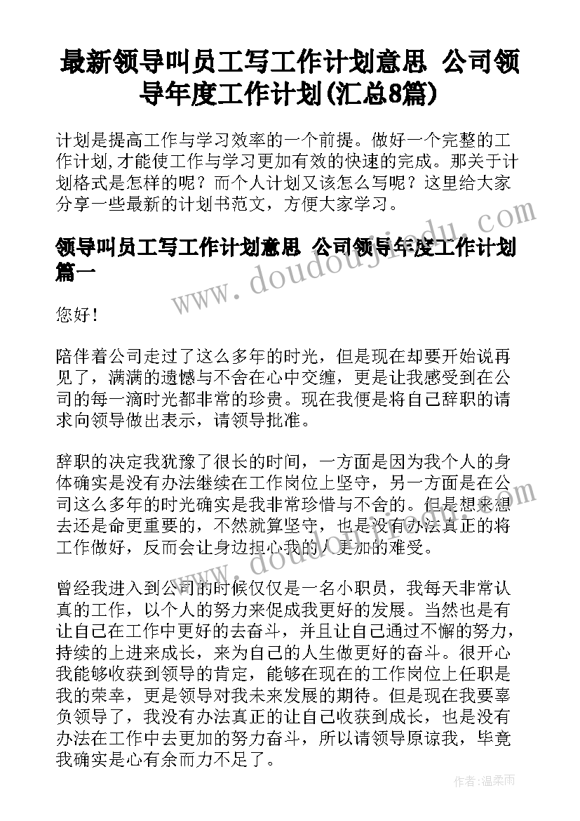 最新领导叫员工写工作计划意思 公司领导年度工作计划(汇总8篇)