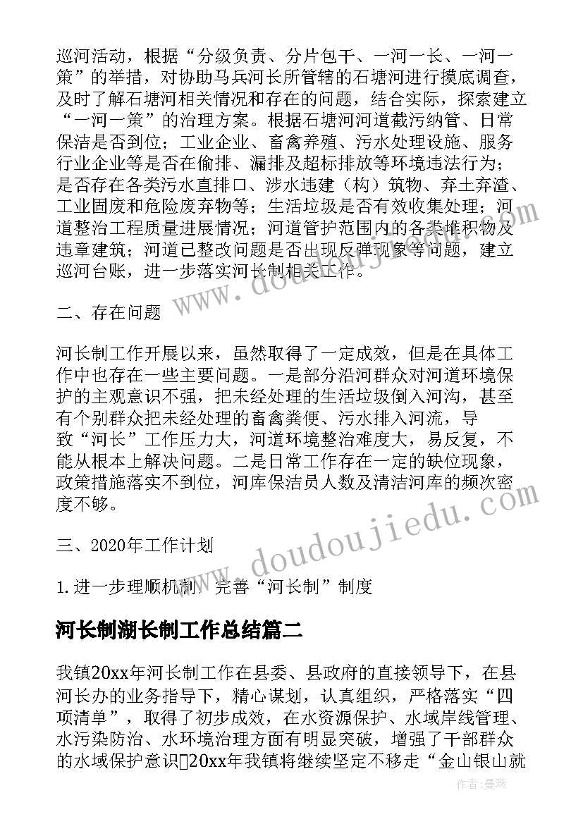 河长制湖长制工作总结(通用5篇)