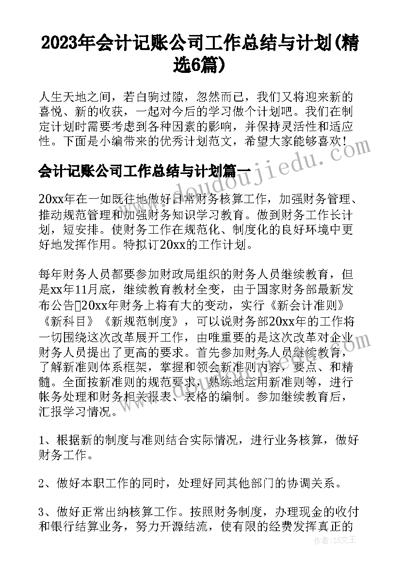 2023年会计记账公司工作总结与计划(精选6篇)