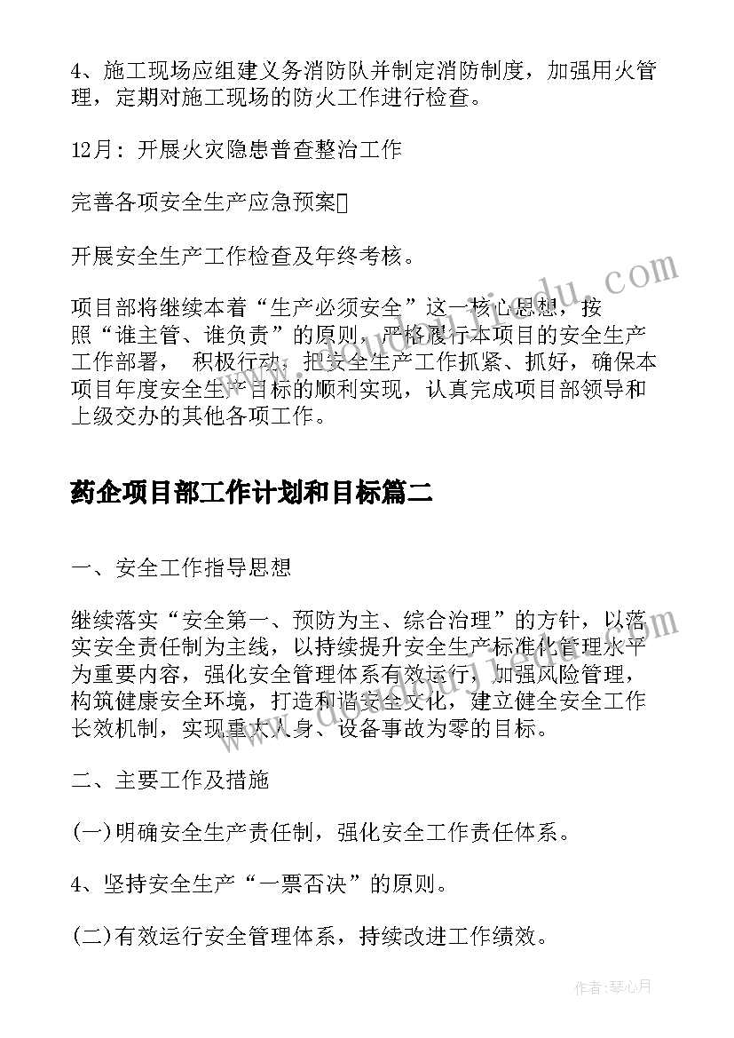 2023年药企项目部工作计划和目标(模板7篇)