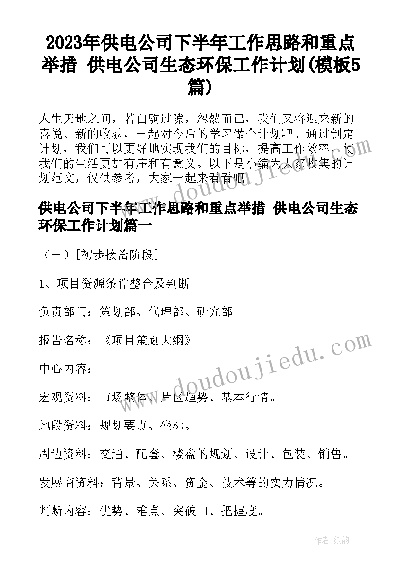 2023年供电公司下半年工作思路和重点举措 供电公司生态环保工作计划(模板5篇)