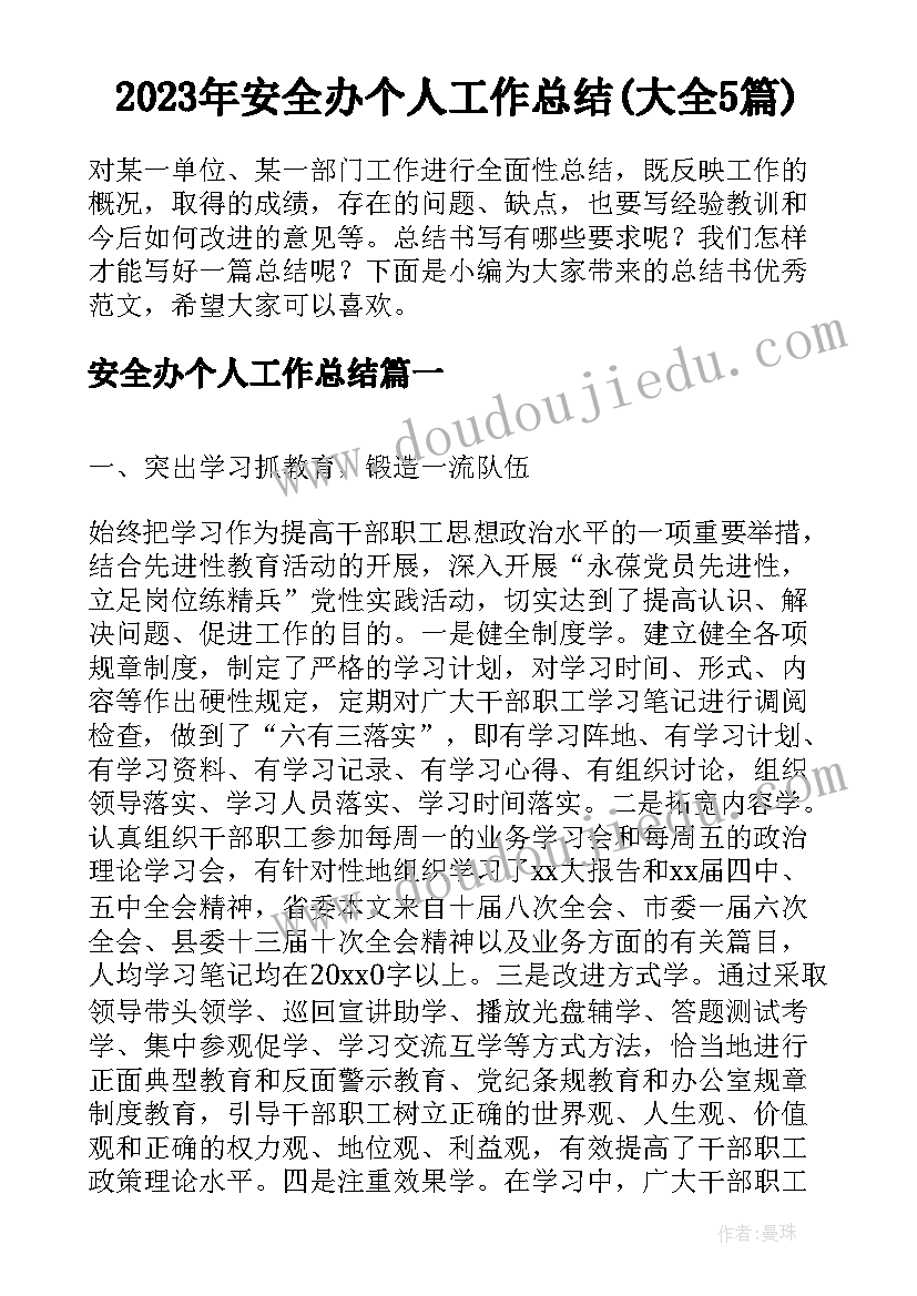 2023年安全办个人工作总结(大全5篇)