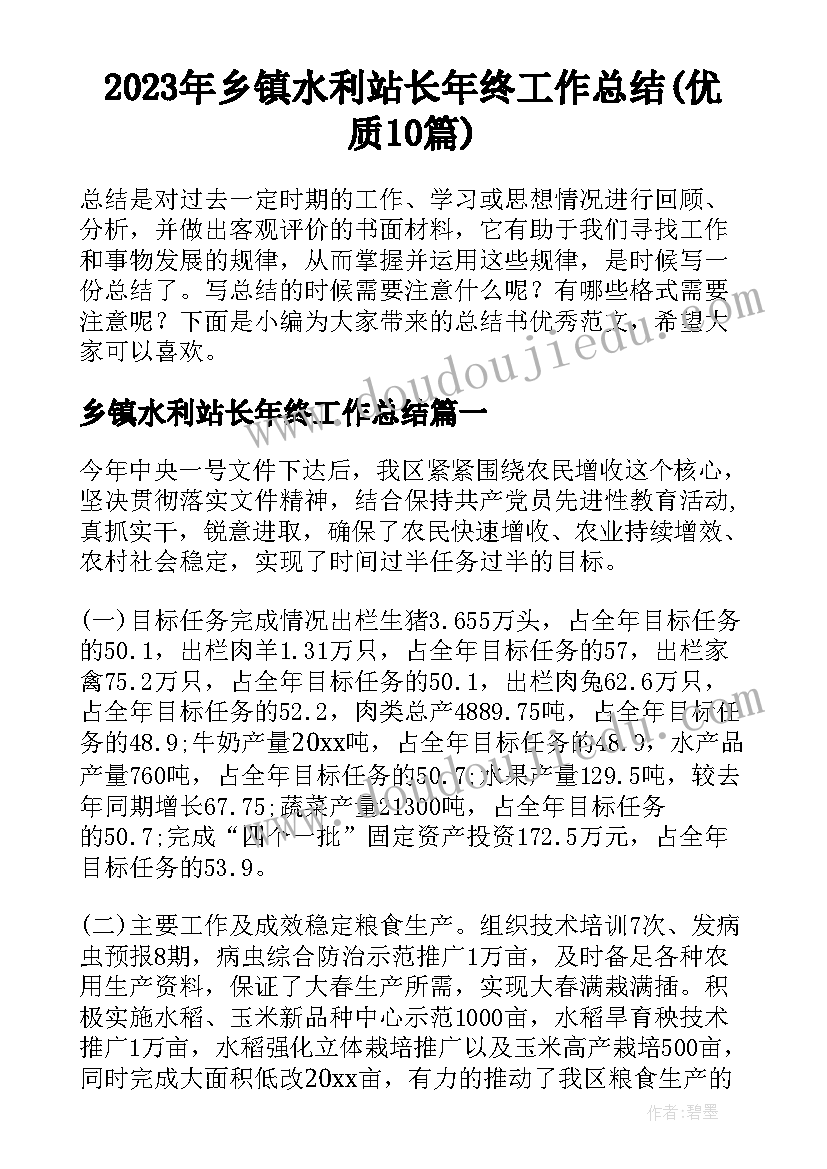 2023年乡镇水利站长年终工作总结(优质10篇)