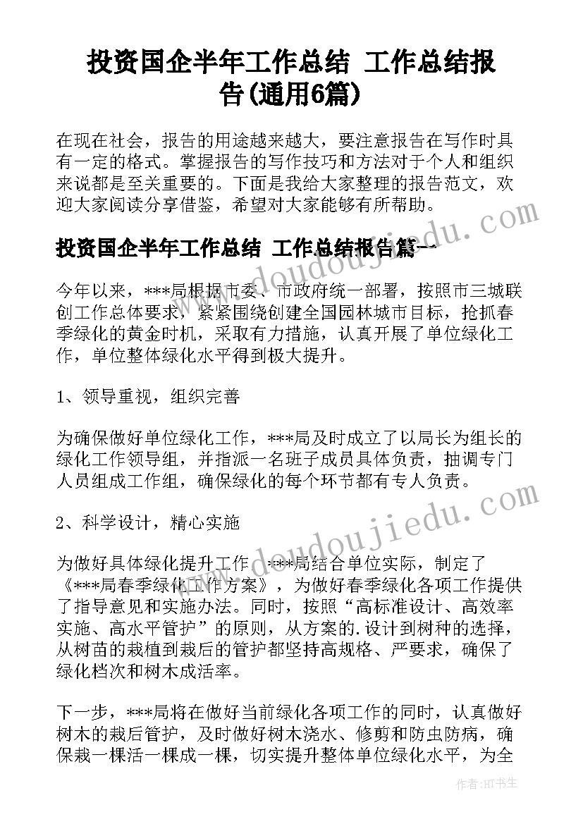 投资国企半年工作总结 工作总结报告(通用6篇)