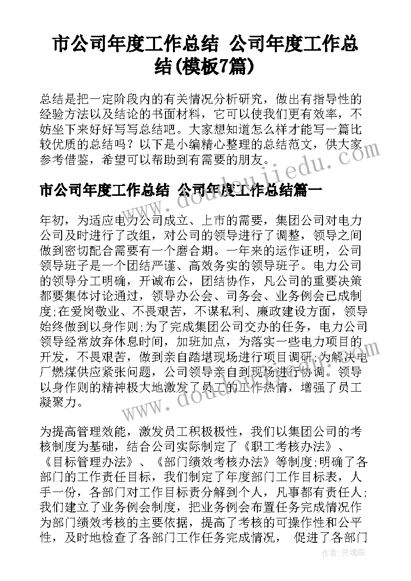 市公司年度工作总结 公司年度工作总结(模板7篇)