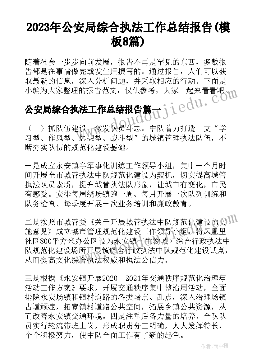 2023年公安局综合执法工作总结报告(模板8篇)