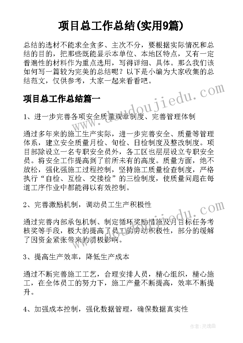 项目总工作总结(实用9篇)