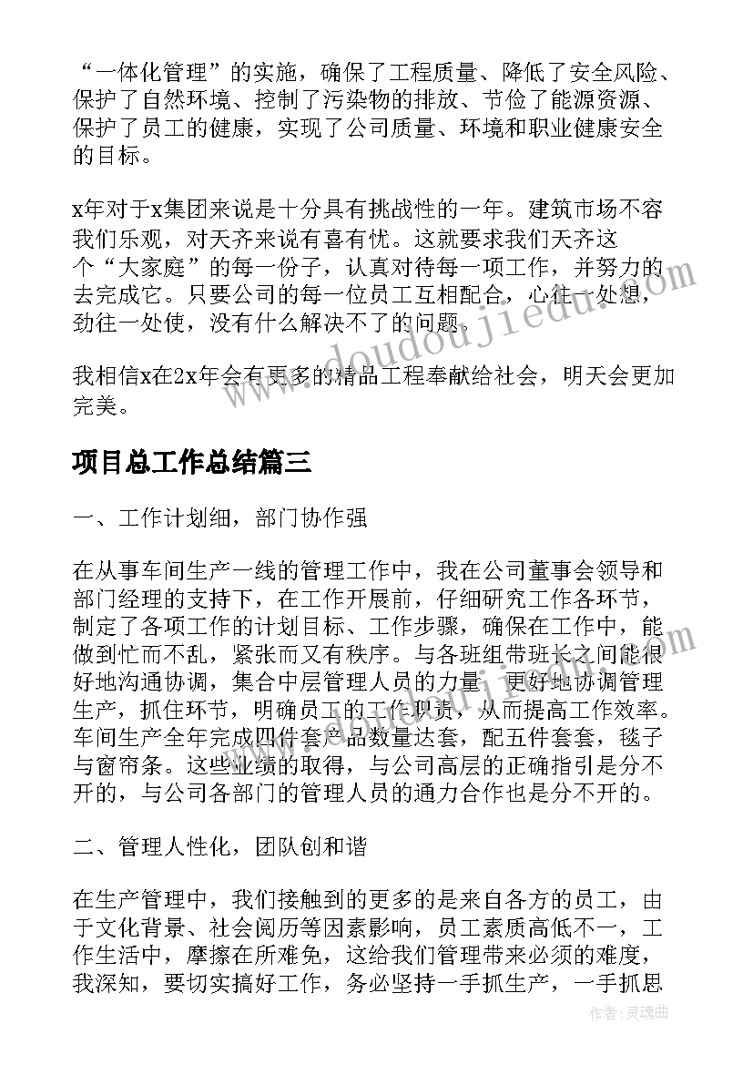 项目总工作总结(实用9篇)