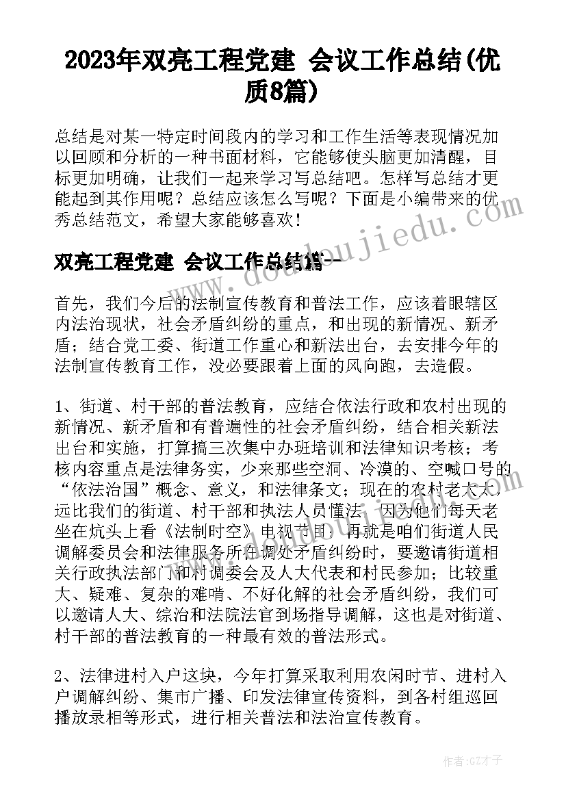 2023年双亮工程党建 会议工作总结(优质8篇)