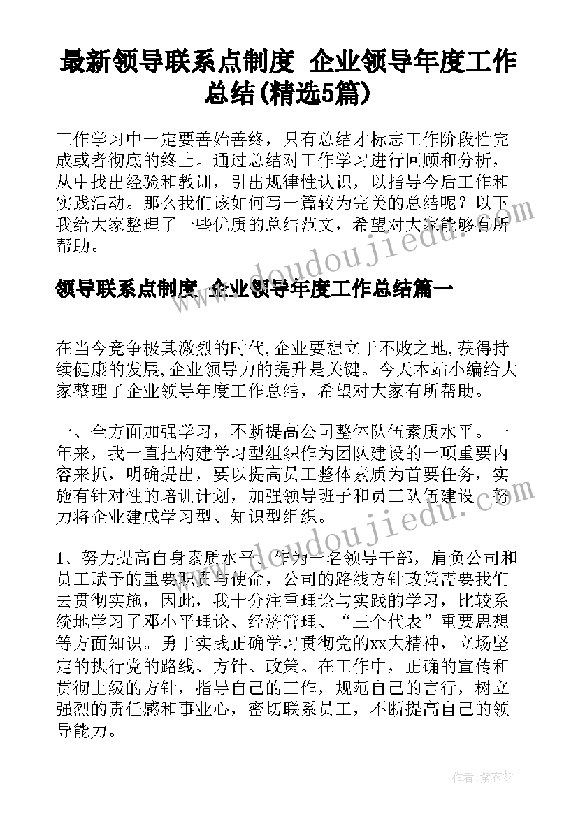 最新领导联系点制度 企业领导年度工作总结(精选5篇)