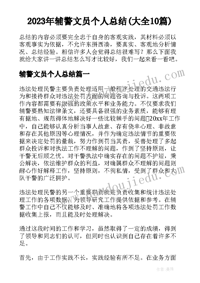 2023年辅警文员个人总结(大全10篇)