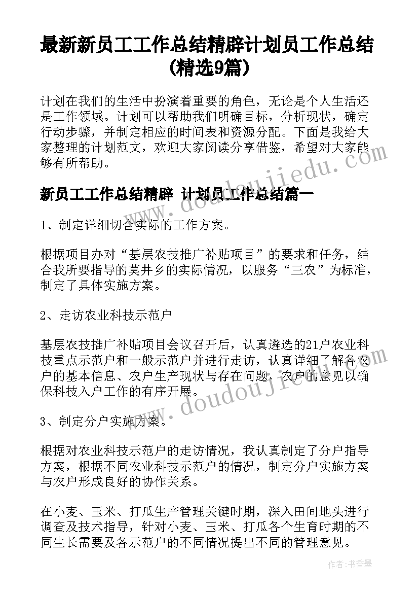 最新新员工工作总结精辟 计划员工作总结(精选9篇)