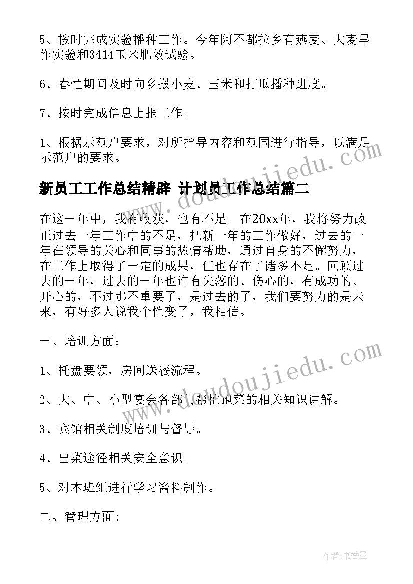 最新新员工工作总结精辟 计划员工作总结(精选9篇)