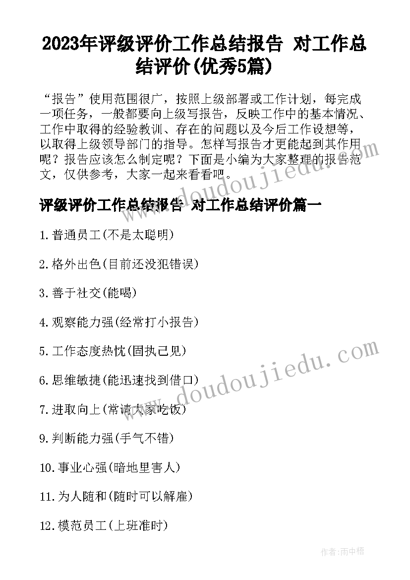 2023年评级评价工作总结报告 对工作总结评价(优秀5篇)