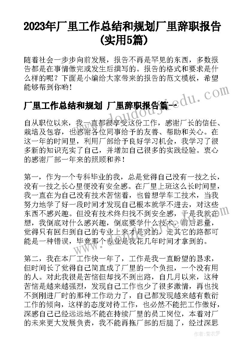 2023年厂里工作总结和规划 厂里辞职报告(实用5篇)