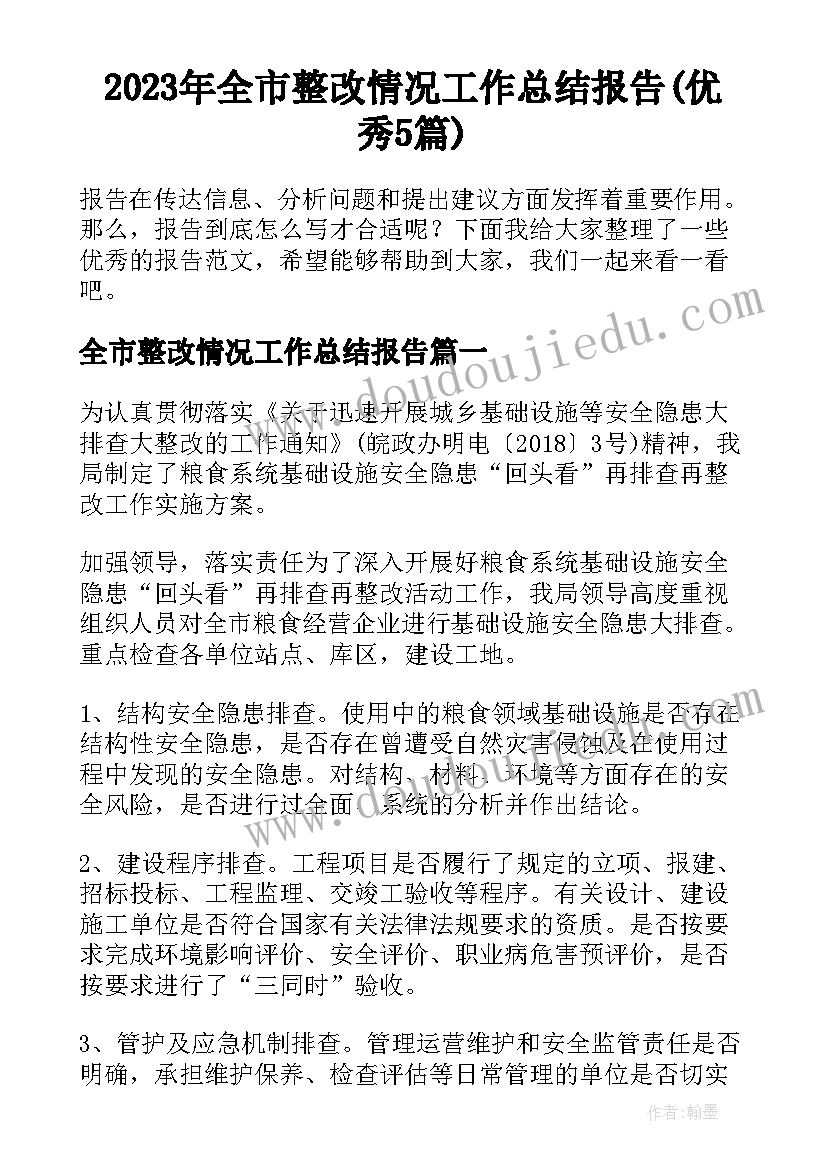 2023年全市整改情况工作总结报告(优秀5篇)