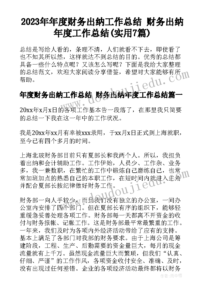 2023年年度财务出纳工作总结 财务出纳年度工作总结(实用7篇)