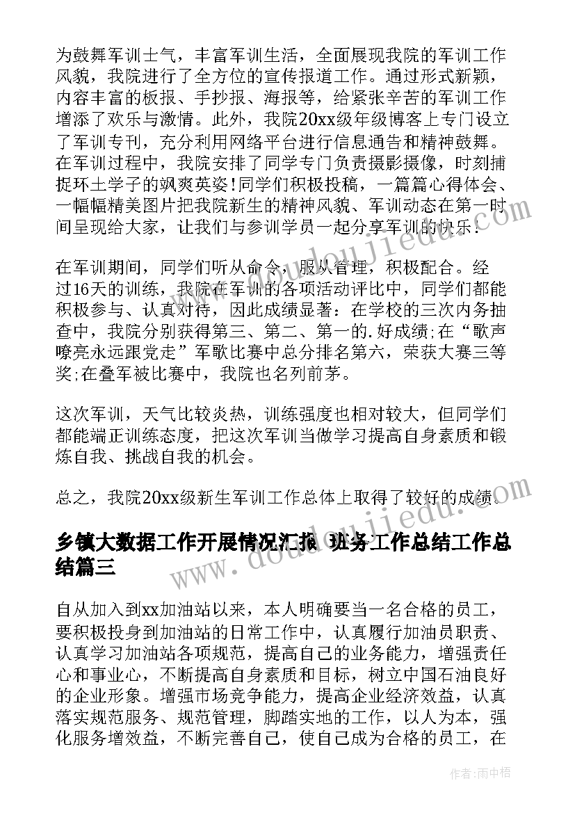 2023年乡镇大数据工作开展情况汇报 班务工作总结工作总结(优秀9篇)