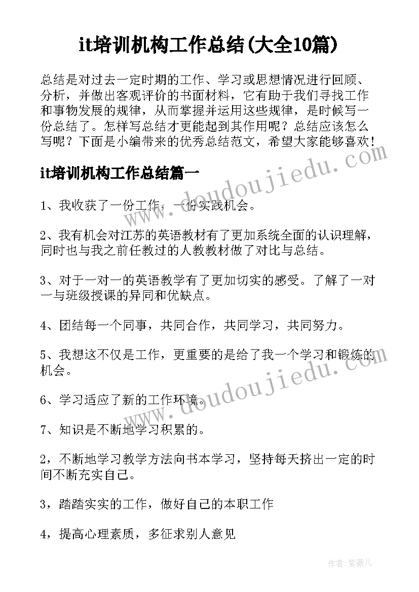 it培训机构工作总结(大全10篇)