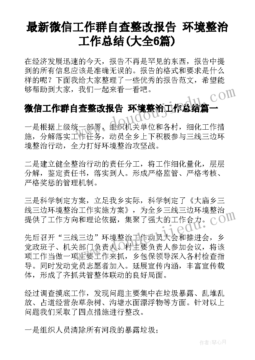 最新微信工作群自查整改报告 环境整治工作总结(大全6篇)