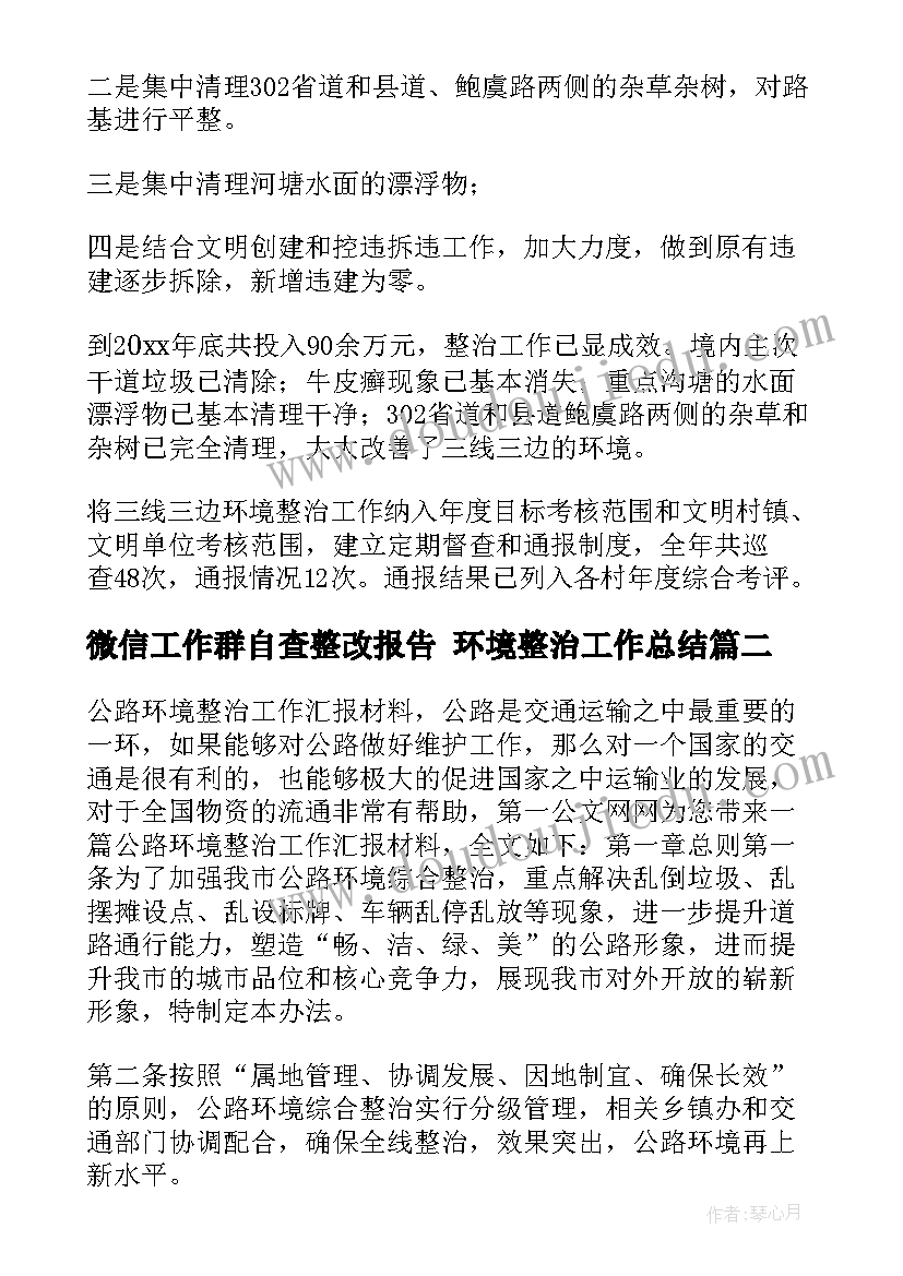 最新微信工作群自查整改报告 环境整治工作总结(大全6篇)