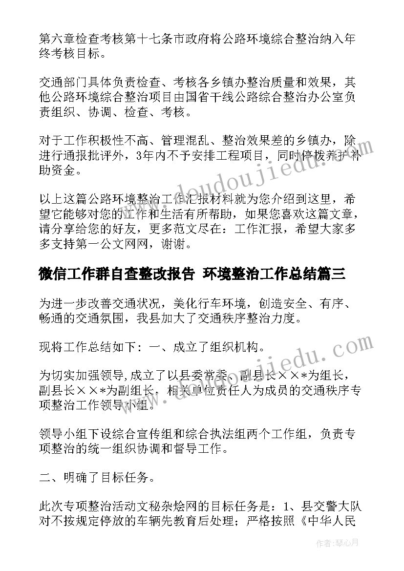 最新微信工作群自查整改报告 环境整治工作总结(大全6篇)