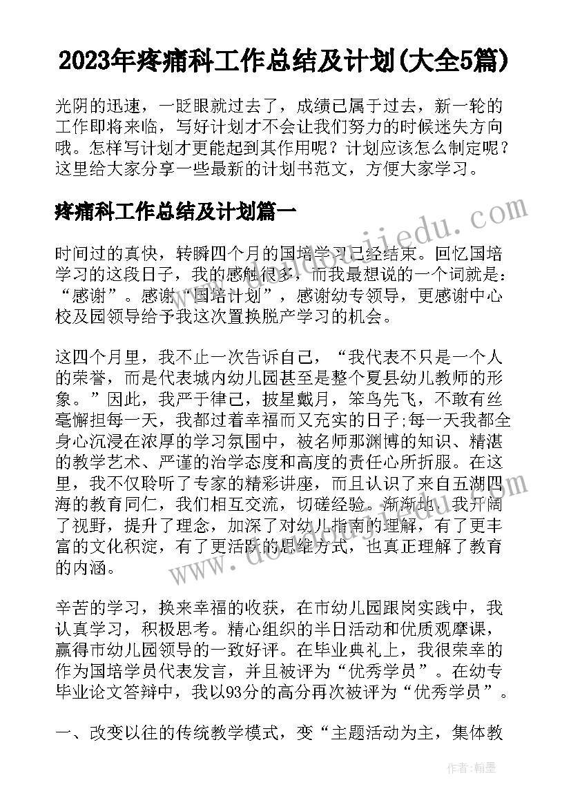 2023年疼痛科工作总结及计划(大全5篇)