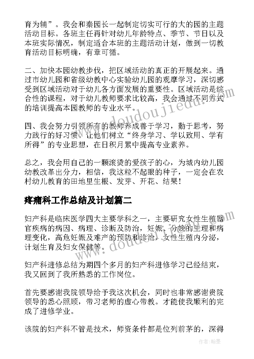 2023年疼痛科工作总结及计划(大全5篇)