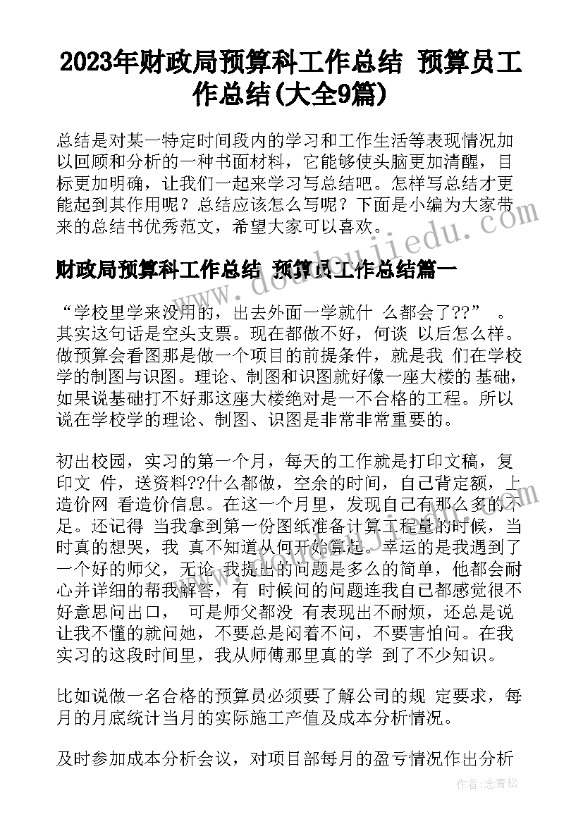 2023年财政局预算科工作总结 预算员工作总结(大全9篇)