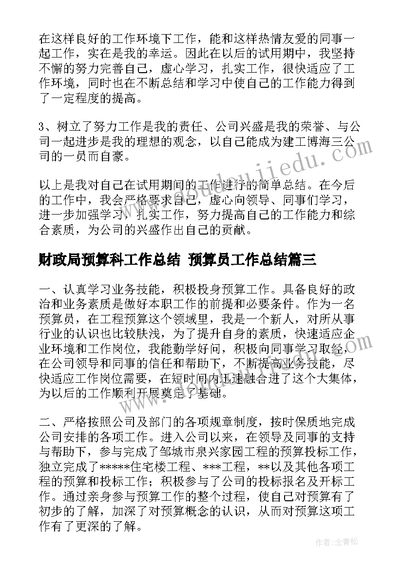 2023年财政局预算科工作总结 预算员工作总结(大全9篇)