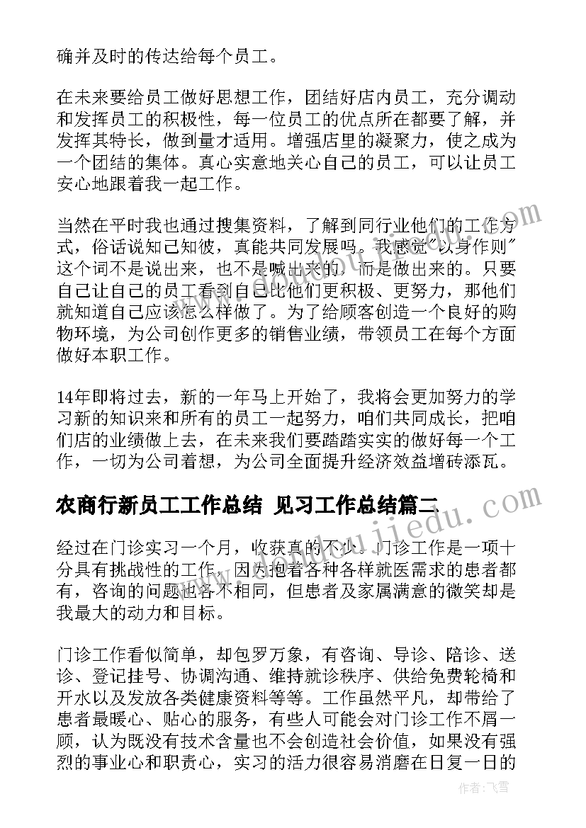 2023年农商行新员工工作总结 见习工作总结(优质9篇)