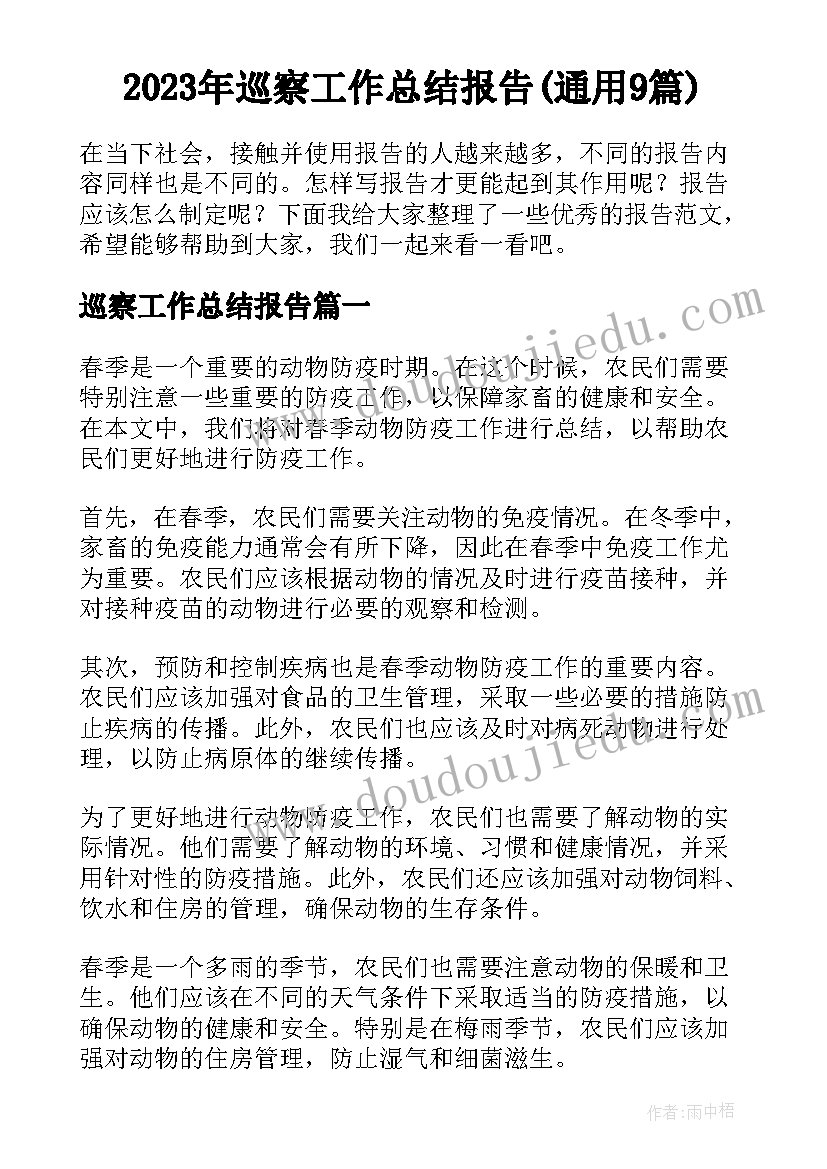 2023年巡察工作总结报告(通用9篇)