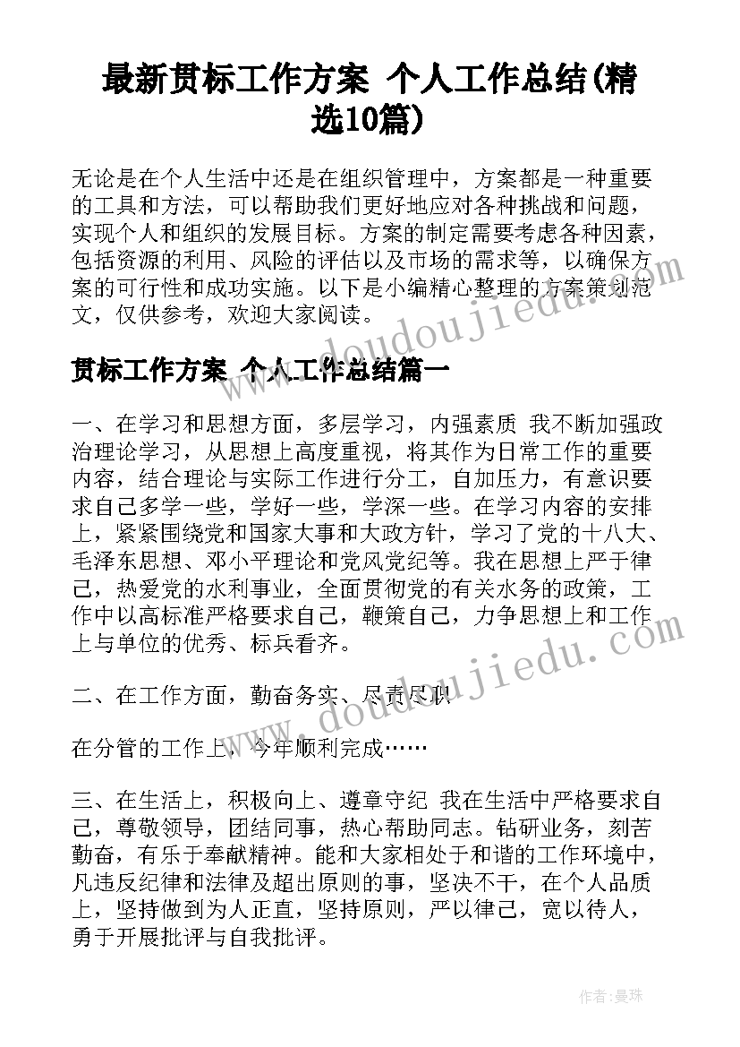 最新贯标工作方案 个人工作总结(精选10篇)