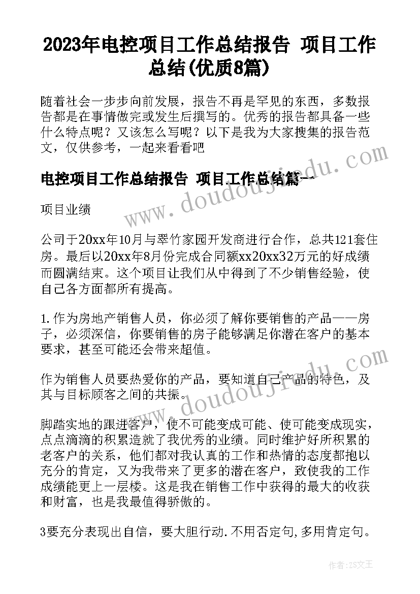 2023年电控项目工作总结报告 项目工作总结(优质8篇)