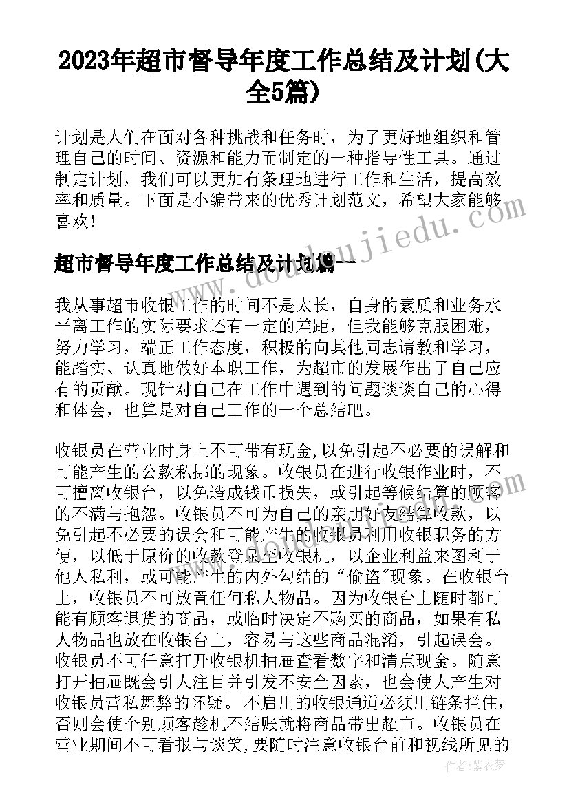 2023年超市督导年度工作总结及计划(大全5篇)