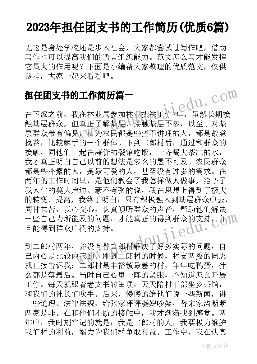 2023年担任团支书的工作简历(优质6篇)