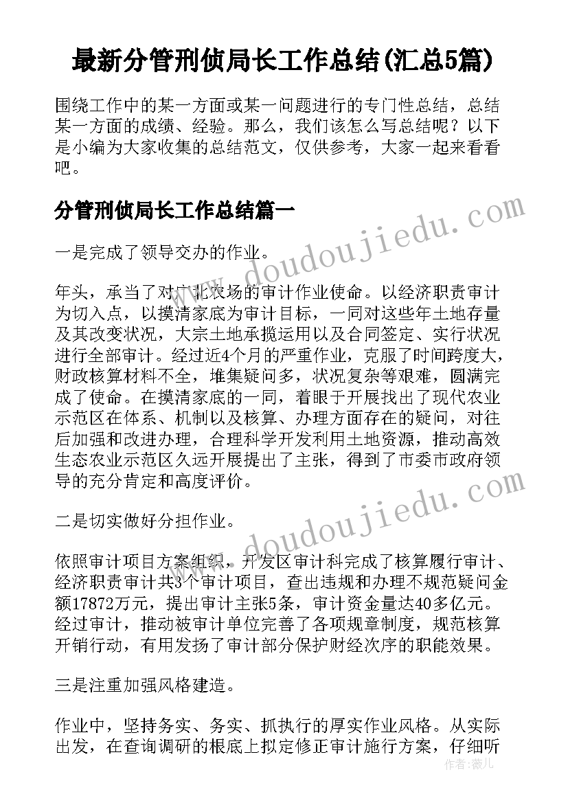 最新分管刑侦局长工作总结(汇总5篇)