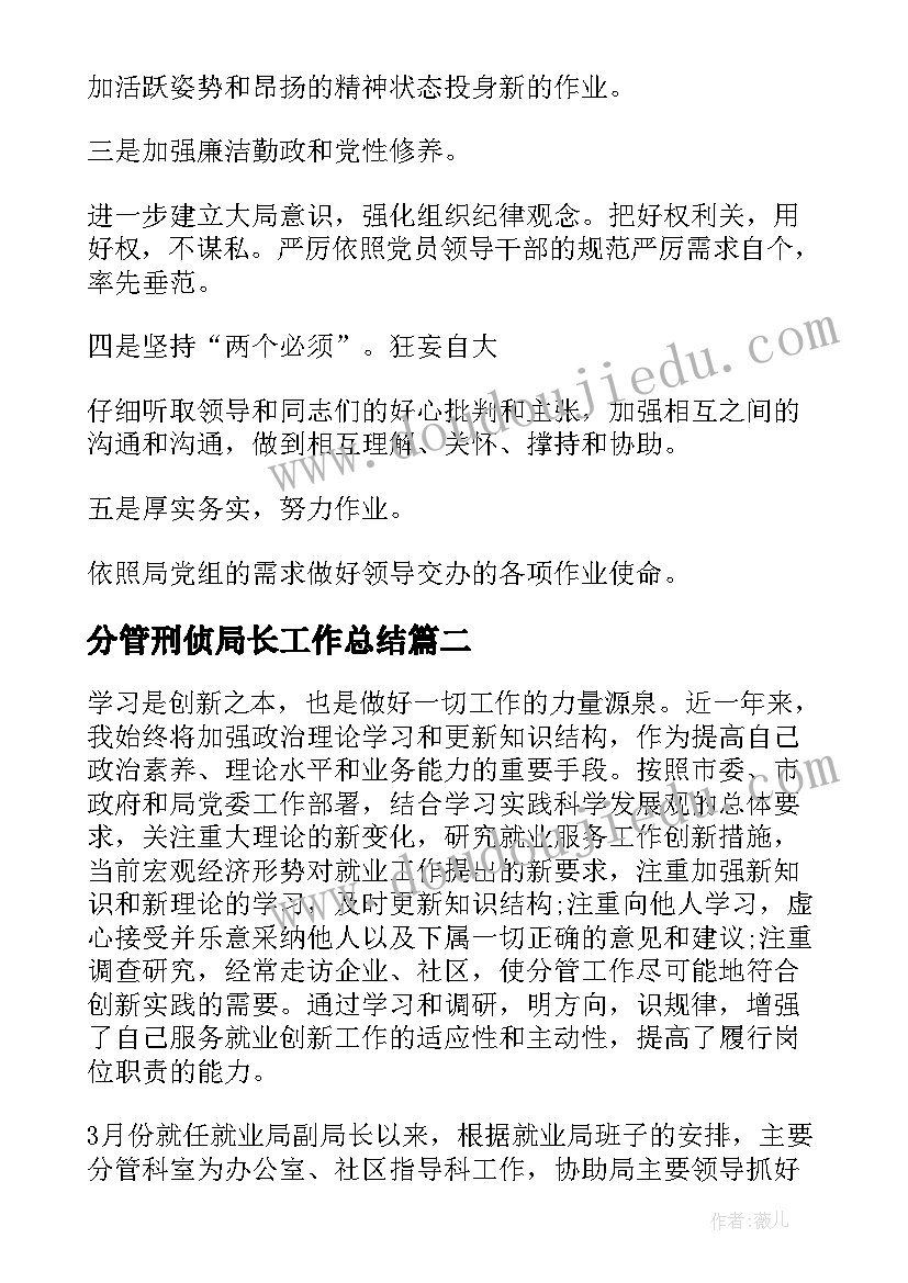 最新分管刑侦局长工作总结(汇总5篇)