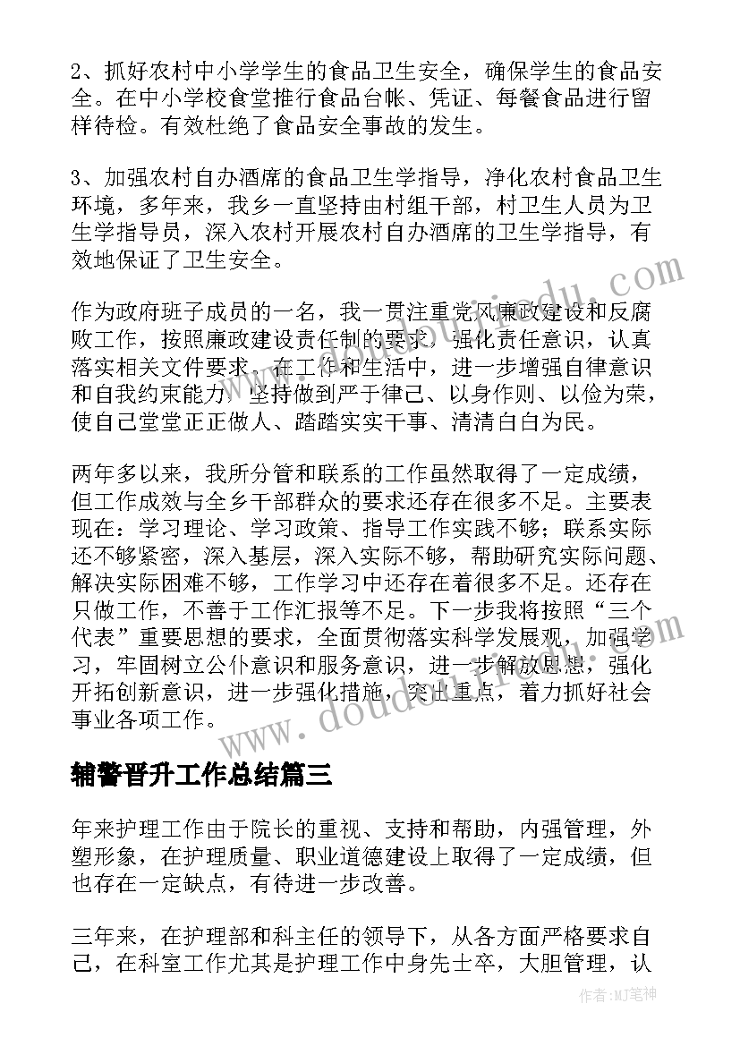 2023年辅警晋升工作总结(大全9篇)