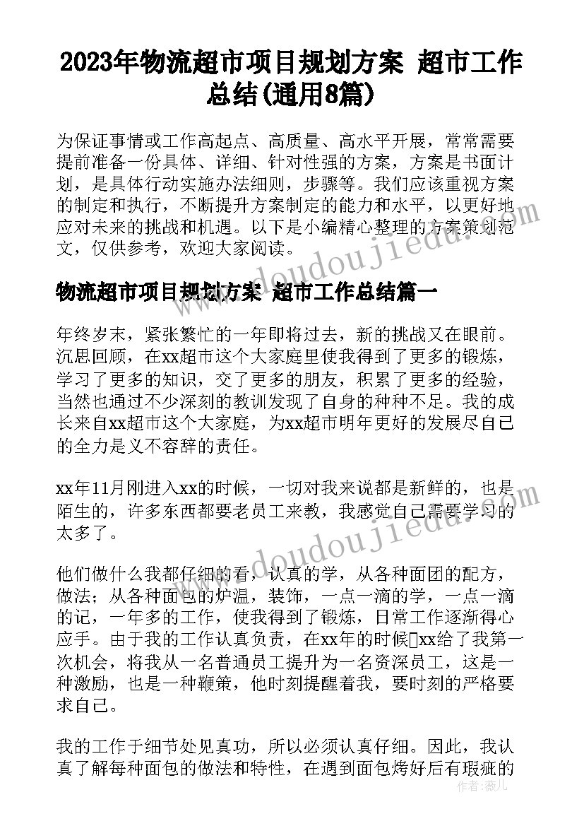 2023年物流超市项目规划方案 超市工作总结(通用8篇)