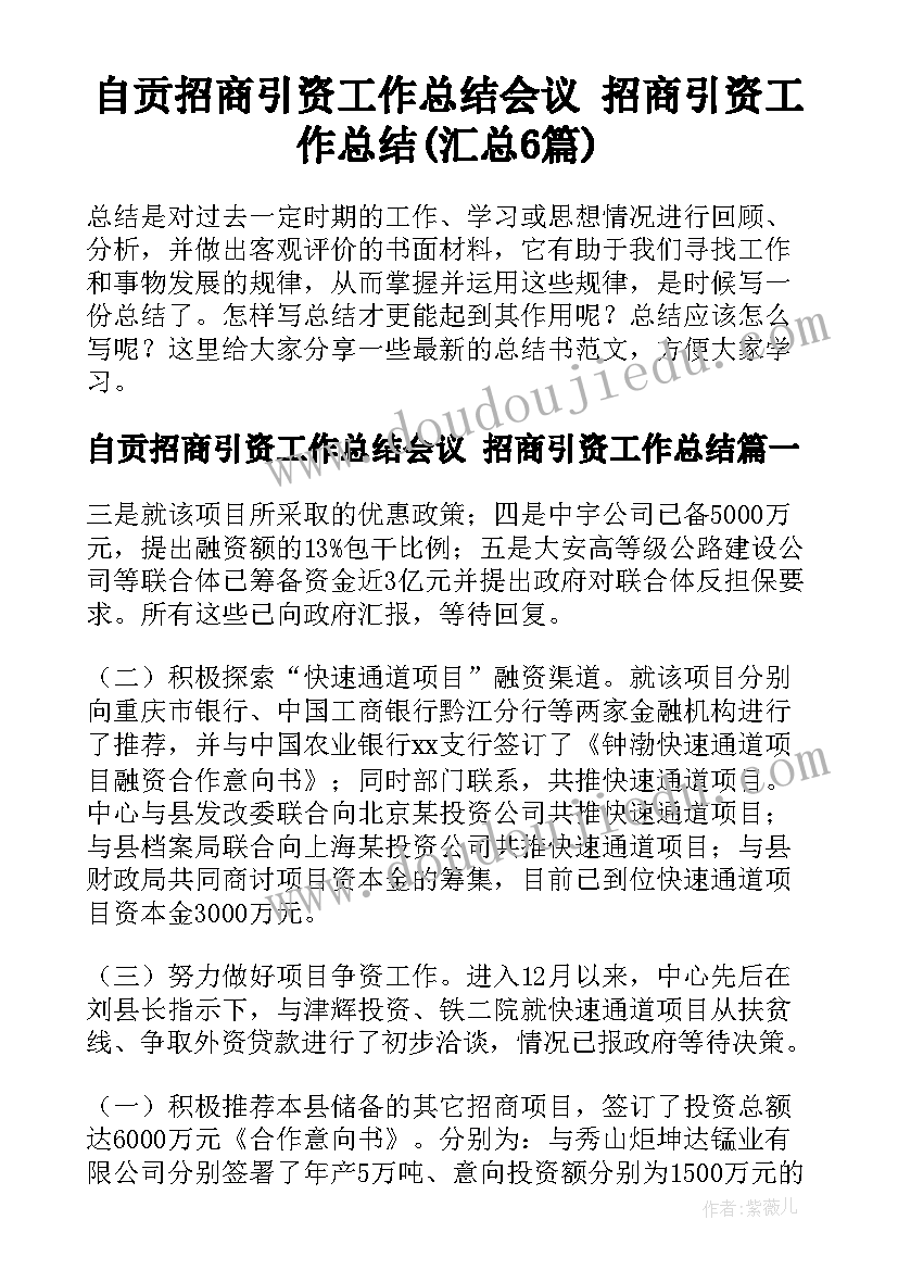 自贡招商引资工作总结会议 招商引资工作总结(汇总6篇)