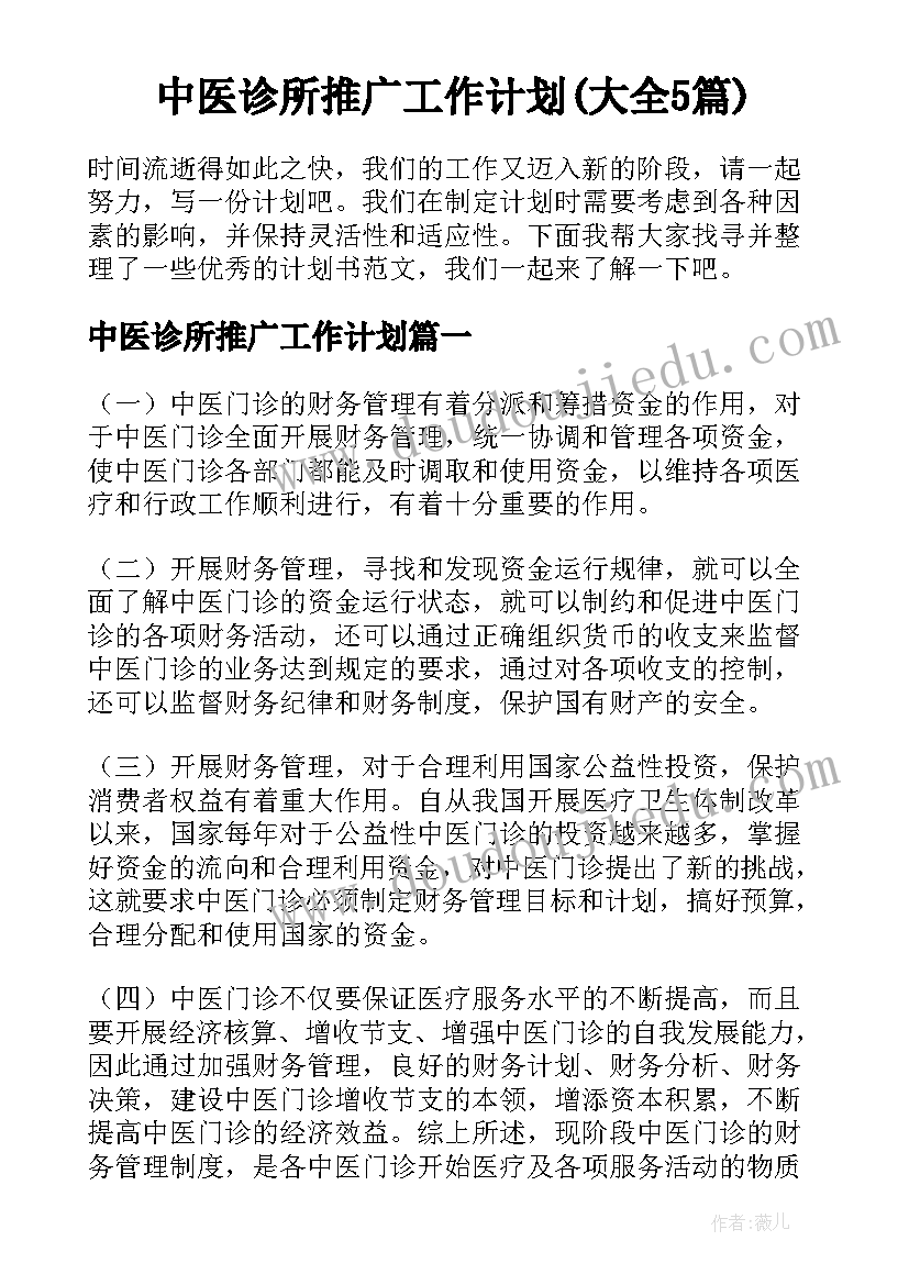 中医诊所推广工作计划(大全5篇)