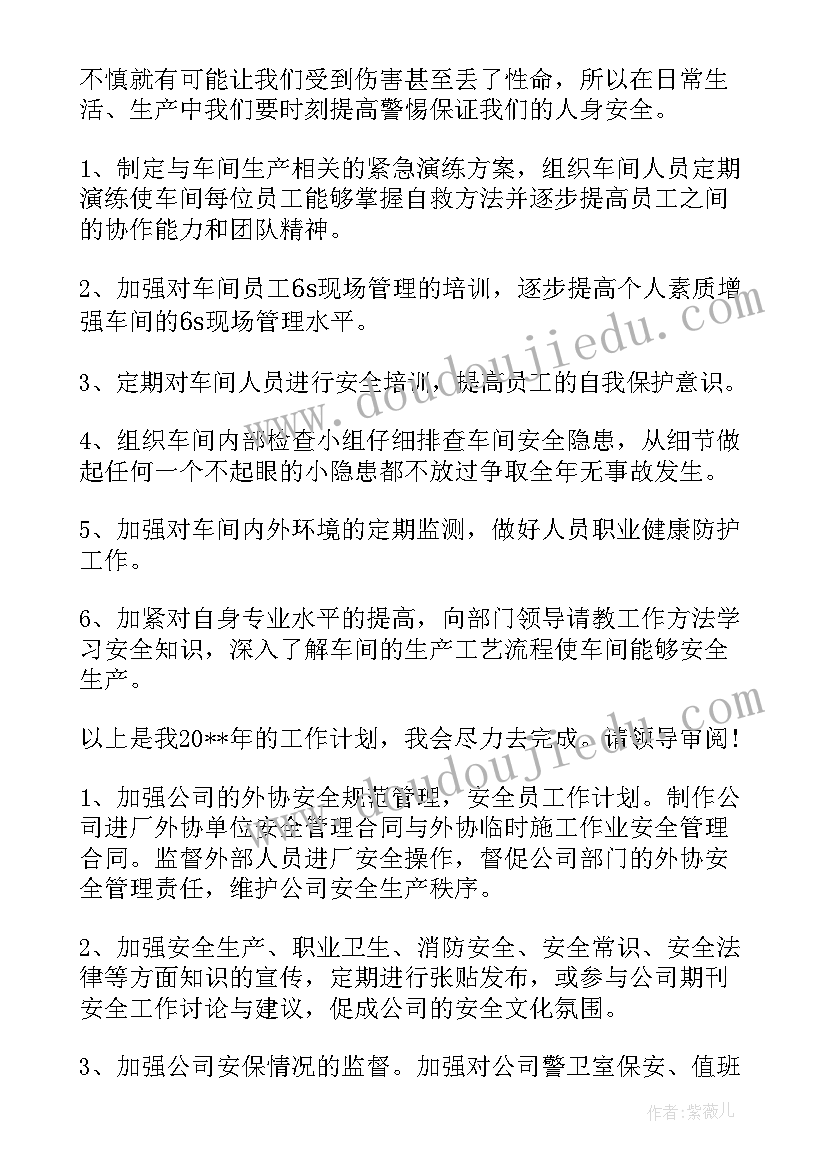 2023年安全执法队工作计划 安全工作计划(精选10篇)