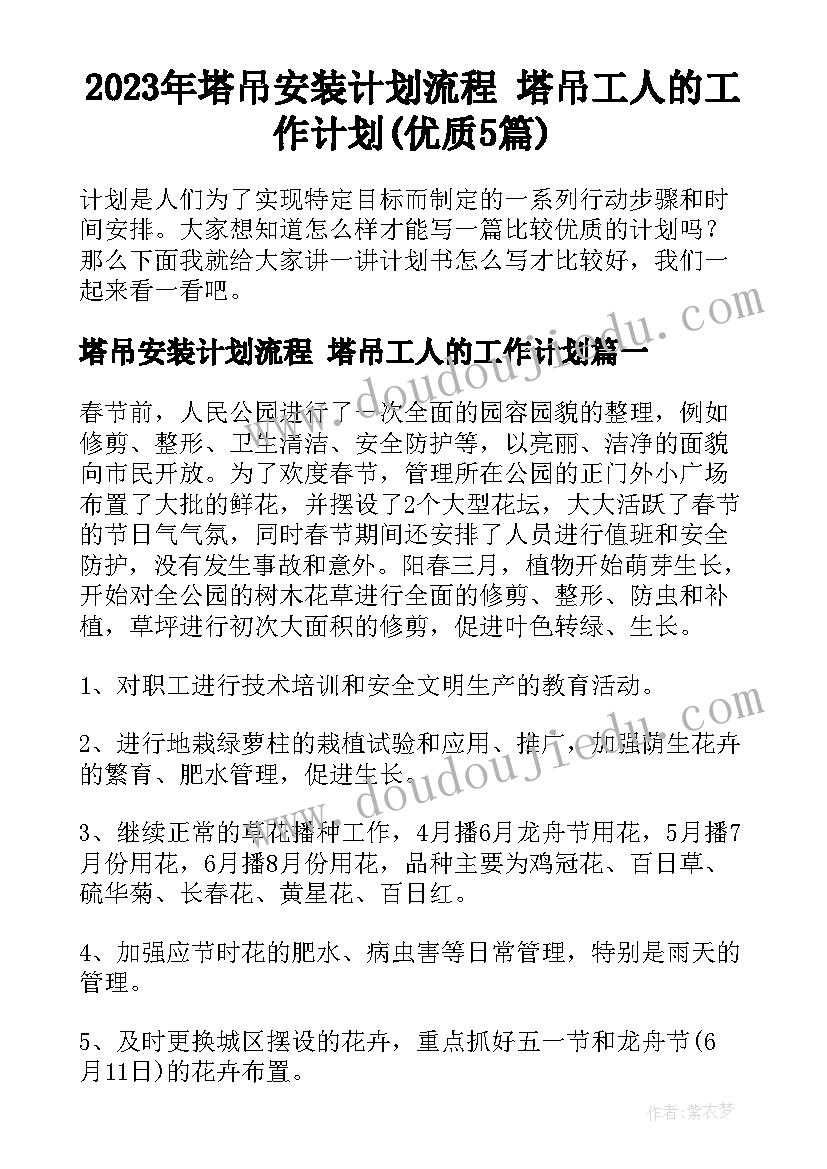 2023年塔吊安装计划流程 塔吊工人的工作计划(优质5篇)