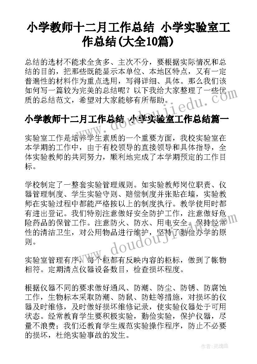 小学教师十二月工作总结 小学实验室工作总结(大全10篇)