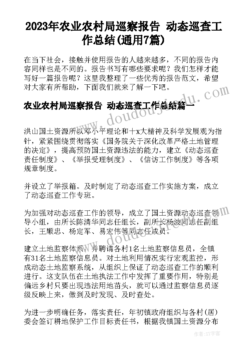 2023年农业农村局巡察报告 动态巡查工作总结(通用7篇)