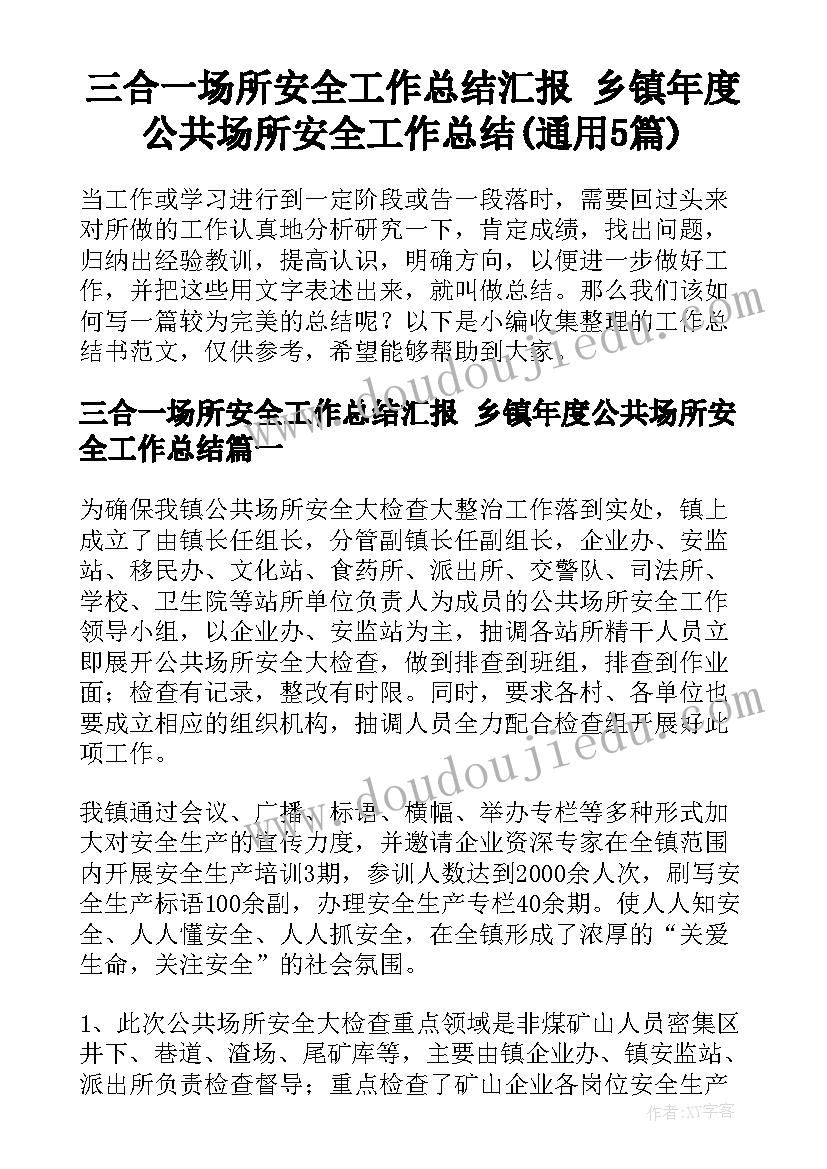 三合一场所安全工作总结汇报 乡镇年度公共场所安全工作总结(通用5篇)