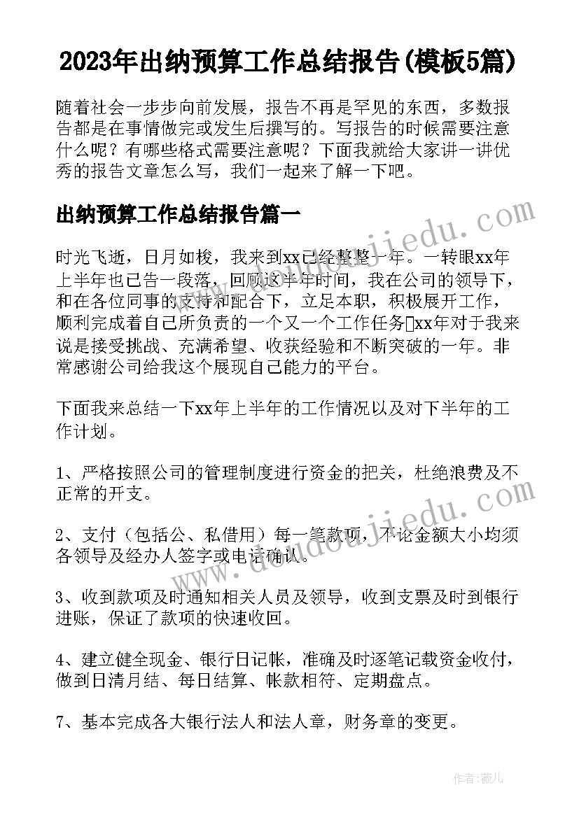 2023年出纳预算工作总结报告(模板5篇)