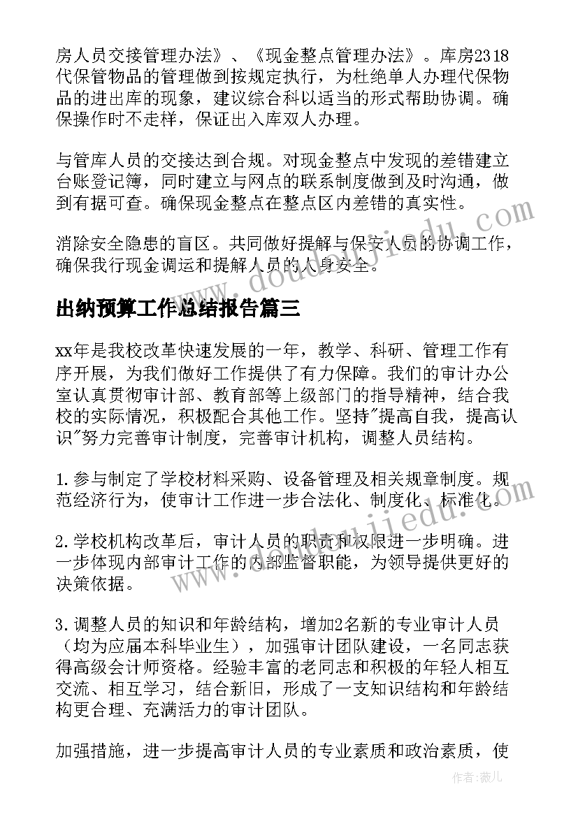 2023年出纳预算工作总结报告(模板5篇)